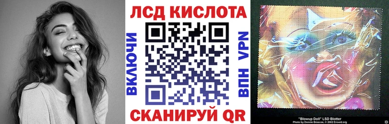 kraken ONION  Куровское  Марки NBOMe 1500мкг 