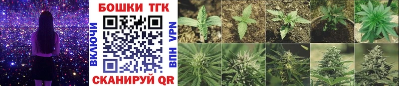 Бошки марихуана OG Kush Куровское